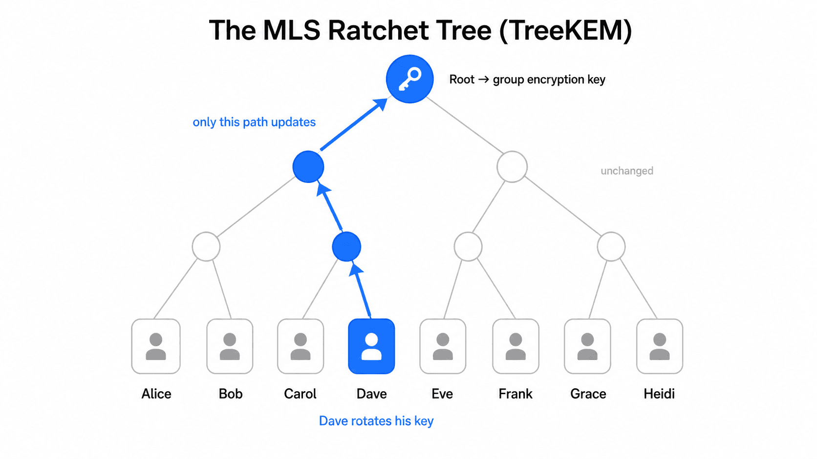The MLS ratchet tree (TreeKEM): eight members (Alice, Bob, Carol, Dave, Eve, Frank, Grace, and Heidi) sit at the leaves of a binary tree whose internal nodes derive shared secrets and whose root secret feeds the MLS key schedule. When Dave rotates his key, only the path from his leaf up to the root updates; every other node in the tree remains unchanged.